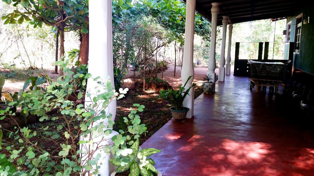 Nethmi Homestay Σιγκιρίγια Εξωτερικό φωτογραφία