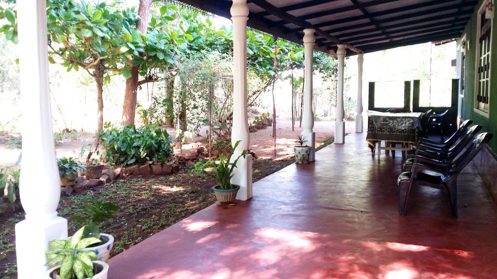 Nethmi Homestay Σιγκιρίγια Εξωτερικό φωτογραφία