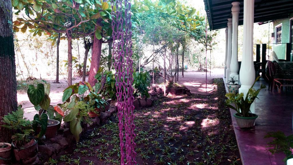 Nethmi Homestay Σιγκιρίγια Εξωτερικό φωτογραφία