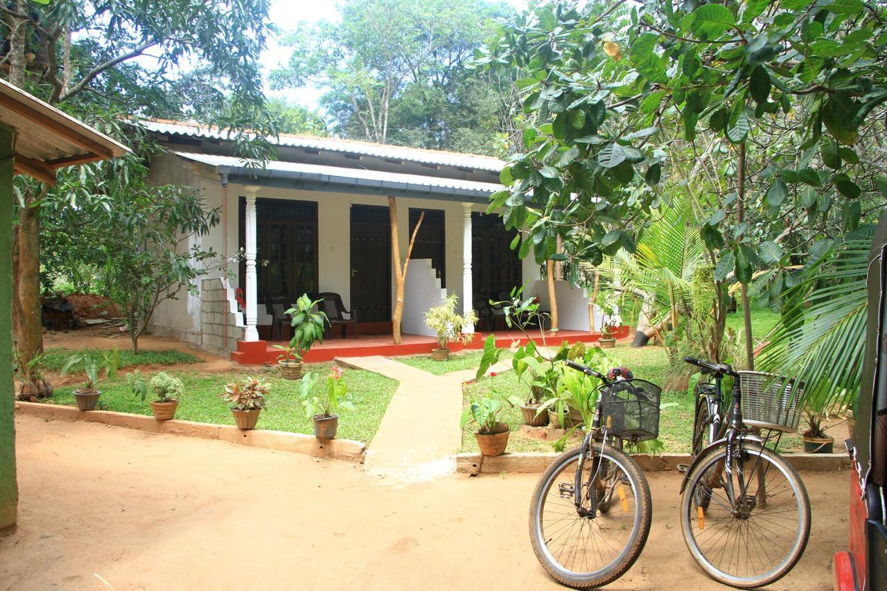Nethmi Homestay Σιγκιρίγια Εξωτερικό φωτογραφία